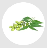 aa (7)
